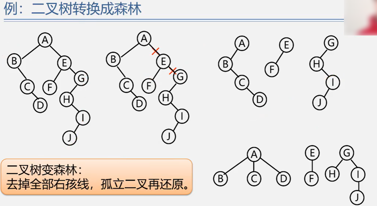将二叉树转换成森林