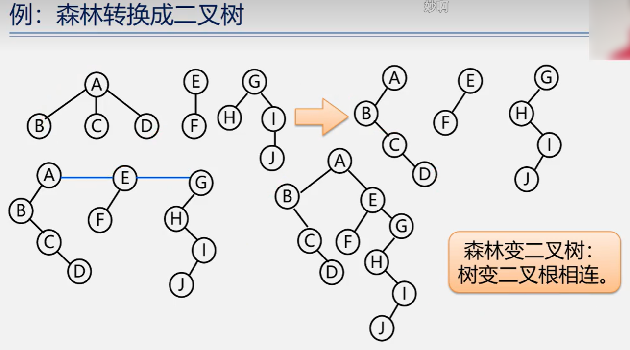 将森林转换成二叉树